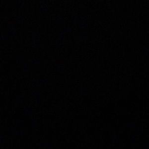 Meet your Posher, Samuel